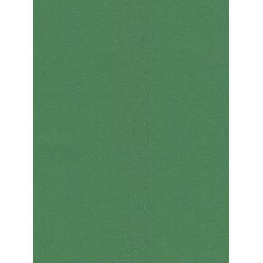 Pacon Sunworks Construction Paper (Green) - 12 In. x 18 In.