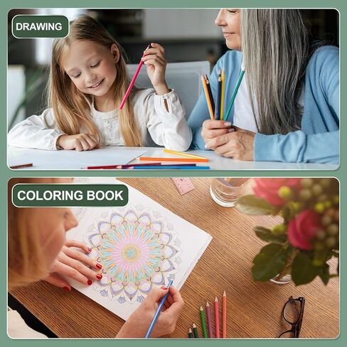 M&G 12 Colors Colored Pencils Set, 12pcs Oil Based Drawing Color Pencil Art Supplies for Beginner Adult Coloring Book Gifts with Green Pencil Holder in Saudi Arabia