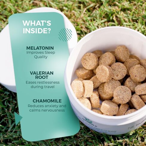Growlz Dog Calming Chews: Anxiety Relief & Travel Treats - K9 Soothing Soft Chews to Promote Relaxation for Crate, Sleep, & Grooming - USA Made with Human Grade Ingredients 90 Count in Saudi Arabia