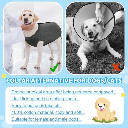 Auruza Dog Recovery Suit After Surgery ، Noft Breatable Dog Onesie for Surgery Female ذكر ، بدلة جراحية لمكافحة لعق الكلب (رمادي ، XL) in Kuwait
