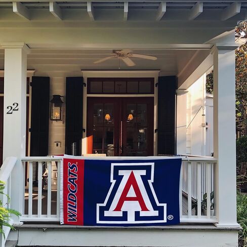 Desert Cactus University of Arizona Flag Wildcats UA Flags Banners 100% Polyester Indoor Outdoor 3x5 (Team Name) in Saudi Arabia