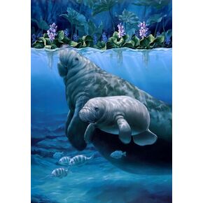 DIY 5D Full Drill Diamond Painting Kits for Adults Kids, Crystal Rhinestone Diamond Embroidery Paintings Arts Craft Home Wall Decor (Manatee Haven, 11.8 x 15.8 Inch)