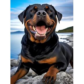 UPABLUNSO Rottweiler Dog Diamond Painting Kits Rottweiler Puppy Sitting on Rocks for Adults Beginner, Diamond Art Paint by 5D Full Round Drill Gem DIY Craft for Home Wall Decor Gift 12x16 inch