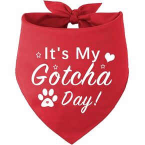 Happy Gotcha Day Dog Bandana ، إنه Gotcha Day Dog Dog Bandana Party Party Supplies Boy Gotcha Day Triangle Dickf Funder Fund