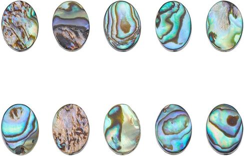 10Pcs Natural Abalone Shell Beads 10mm Heart Shaped Paua Shell Beads Abalone Drop Shell Beads Flat Loose Spacer Beads for Earring Necklace Bracelet Jewelry Making in Kuwait
