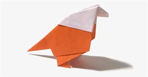 ورقة اوريغامي اليابانية الجميلة (مثل Chiyogami) ، كل منها يحتوي على أربعة تصميمات مختلفة ، مصنوعة في اليابان (10. مجموعة مربع Strage) in Saudi Arabia