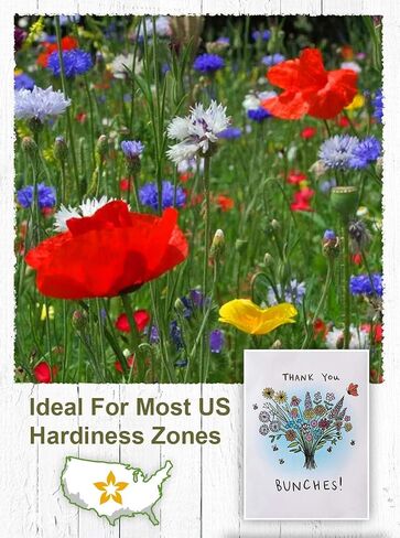 American Meadows Wildflower Seed Packets "Thank You Bunches" Party Favors (Pack of 20) - Express Gratitude with a Wildflower Seed Mix, Great Addition or Alternative to Thank You Cards in Saudi Arabia