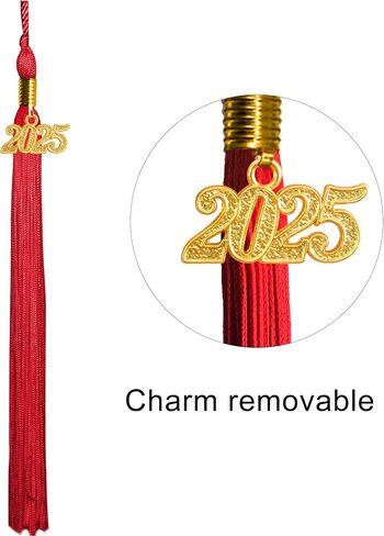 GraduationMall Single&Multiple Color Graduation Tassel with 2026 Year Charm 9" in Saudi Arabia