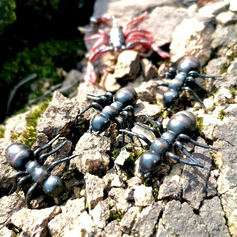 Cooplay 30pcs Fake Fly Flies Bug Plastic Mock Insects Reptile Joke Toys Prank Scary Trick Tricky Brains for Halloween Party in Kuwait