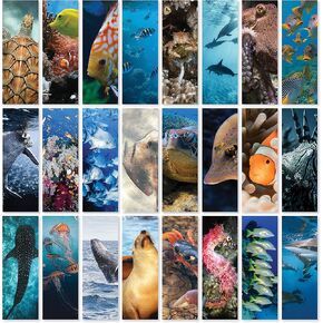 JBH Creations Ocean Animal Bookmarks - Pack of 48
