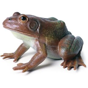 Plastic Frog Toys for Kids, Rainforest Animals Figures, Rubber Bullfrog Figurine, Forest Woodland Animals Toys, Frog Decor Party Favor Garden Flowerpot Decoration (Green)