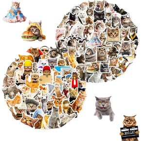 100 PCS Cute Cat Stickers for Kids, Funny Kitten Stickers for Journaling Laptop Scrapbook Water Bottles Guitar Skateboard,Cat Decals for Teens Adults Kids Gift (Cat)