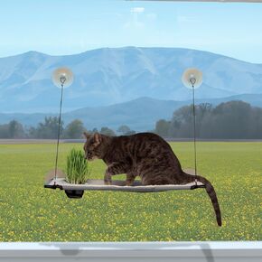 K&H Pet Products Window Lounger with Oat Grass, Cat Window Perch for Large Cats, Farmed in USA, Non-GMO Grass Kit, Sturdy Kitty Sill Window Hammock Bed, Steel Frame, Sturdy Suction Cups - 23 X 12in
