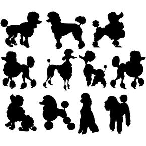 Pet Dog Poodle Silhouette 11 ملصقات لطيف - عاشق الكلب هدايا - ملصق للسيارة - ملصق مفتاح الضوء - ملصقات الجدار - ملصقات سجل القصاصات (سوداء ، حزمة صغيرة إضافية)
