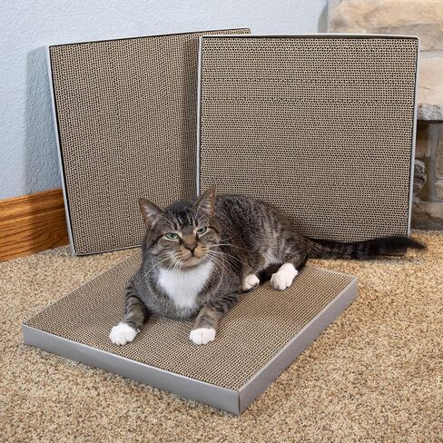 Kitty City Large Cat Bed, Stackable Cat Cube, Indoor Cat House/Cat Condo, Cat Scratcher in Kuwait
