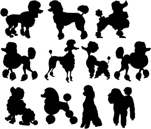 Pet Dog Poodle Silhouette 11 Cute Stickers Pack - Dog Lover Gifts - Car Bumper Sticker - Light Switch Sticker - Wall Decal - Scrapbook Stickers (Black, Extra Small Pack) in Saudi Arabia