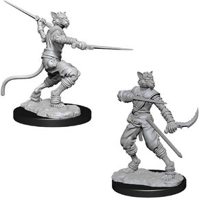 D&D Nolzurs Marvelous Unpainted Miniatures: Wave 7: Male Tabaxi Rogue