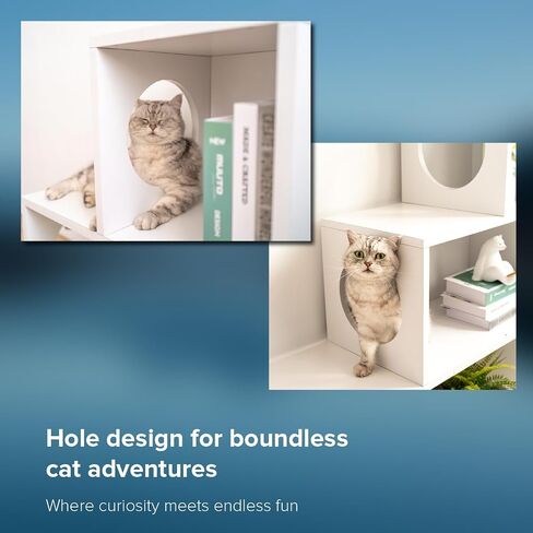 Cat Stairs Shelf 3 Steps, cat Tree Climbing Shelf, Window Perch & Storage Solution, Stair Platform for Indoor Adult Cats, Made from Safe Sturdy Material, Versatile Ladder Direction, greywood in Saudi Arabia