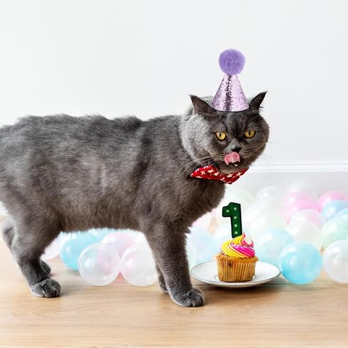 Dog Birthday Hat for Pets, 4 PCS Cat Birthday Hat Dog Party Hats Cute Puppy Hats with Pompons Adjustable Charm Headbands Mini Pet Party Hat Accessories for Pets Kittens Dogs Party Decorations Supplies in Saudi Arabia