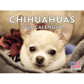 Chihuahua Calendar 2025 Chihuahuas Monthly Wall Calender | American Made In The USA