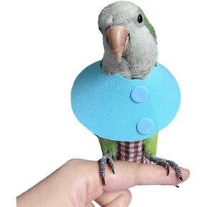 Parrot Neck Collar Pet Anti-bite Picking Feather Healing Protective Neck Cover Collar for Birds (L)