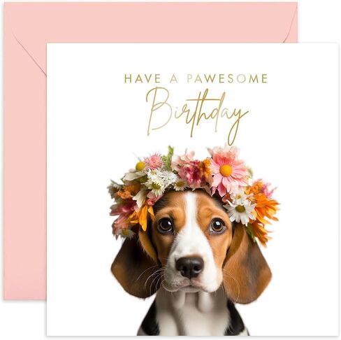 Old English Co. Fun Belated Birthday Card for Her - Sloth Birthday Card Sorry It's Late - Humorous Delayed Birthday Card Gift for Friends and Family | Blank Inside Envelope in Kuwait