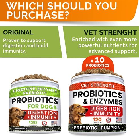 STRELLALAB Vet Strength Dog Probiotics Treats + Digestive Enzymes + Prebiotics - 110 Ct (Pack of 1) Chewable Fiber w/Pumpkin - Allergy, Diarrhea, Gas, Constipation, Upset Stomach Relief - Red Meat in Saudi Arabia
