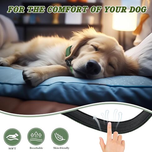 Airtag Dog Collar, 100% Waterproof Padded Apple Air Tag Dog Collar with Airtag Holder Case, Reflective Adjustable Nylon Pet Collar for Small Medium Large Dogs (M, Red) in Saudi Arabia
