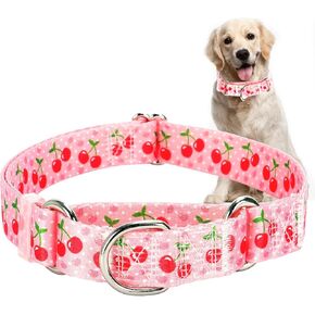 Martingale Dog Collar for Small Medium Large Pet Dogs- Pink Cherry No-Slip Escape Proof Choke No Pull Fruit Dog Collar for Male and Female Dogs Training & Walking M
