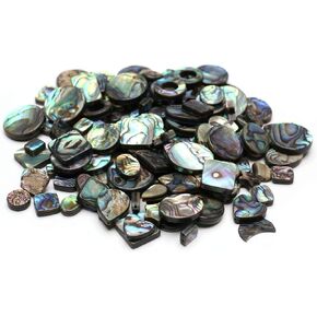 20 Pcs Natural Abalone Shell Beads Different Shapes Assorted Abalone Flat Beads for Jewelry Making