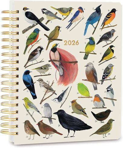 High Note 2026 Planner, 17-Month Weekly & Monthly Hardcover Planner: August 2025 to December 2026, 9" x 10" - Fresh & Colorful in Saudi Arabia