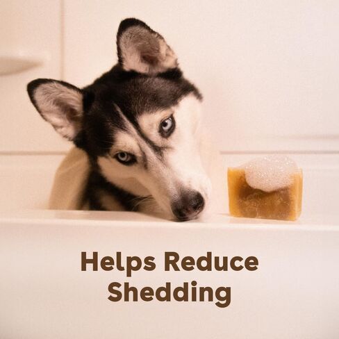 Pupford Sudsy Shampoo Bar for Dogs (Alpine Meadow) in Saudi Arabia