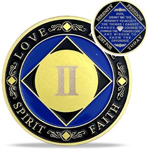 10 Year NA Medallions - Recovery Narcotics Anonymous Chips - Ten Year Living Clean Sobriety Coin - (Years 1-30) Journey Celebrate Recovery Addicts - Narcotics Anonymous Gifts for Men Women