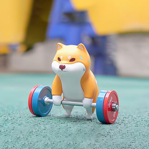 Beemai Kuraya Shiba Tourshiba Series 1PC Termblox Box Focour in Kuwait