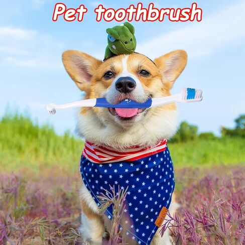 3 Pcs Dual Headed Pet Toothbrush for Dogs & Cats, Soft Bristles Pet Teeth Brush Double Head Cleaning Toothbrush for Small and Large Dogs Cats Teeth Cleaning and Dental Care(Three Colors) in Saudi Arabia