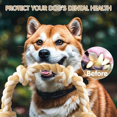 Ycozy 4-Knot Dog Rope Toy for Medium/Small Dogs 26in Dog Rope for Aggressive Chewers Puppy Dog Tug Toy Almost Indestructible Teething Chew Toy Natural Cotton in Kuwait
