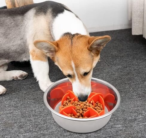 Slow Feeder Insert,Dog Bolw Slow Down Eating Cutable Slow Feeder Silicon Rubber Insert for Dog Bowl for Dog/Cat/Puppy (Small, Orange) in Saudi Arabia
