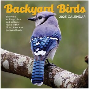 TF PUBLISHING 2025 Backyard Birds Wall Calendar | Large Grids for Appointments and Scheduling | Vertical Monthly Wall Calendar 2025 | Home and Office Organization | Premium Gloss Paper | 12"x12"