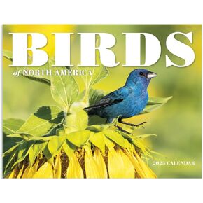Birds of North America 2025 Hanging Wall Calendar - 19" x 11" (Open) 2025 Monthly Appointment Planner and Organizer. Colorful and beautiful birds to brighten up each day!