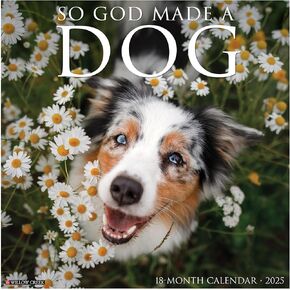 Willow Creek Press So God Made a Dog Monthly 2025 Wall Calendar (12" x 12")