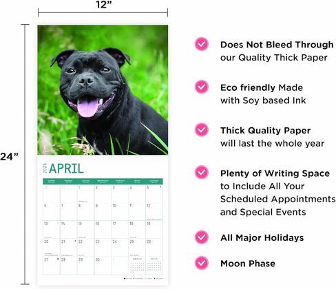 Bright Day Calendars 2025 American Staffordshire Bull Terriers Monthly Wall Calendar - Cute Dog Breed Gift (12 x 12 Inch) in Saudi Arabia