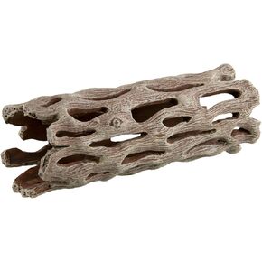 Underwater Treasures Cholla Wood - Medium