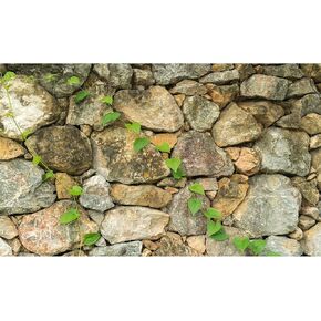 Rock Aquarium Background Stone Fish Tank Background Natural Rocky Glass Terrarium Background Rock Wall Aquarium Background Stone Rock Terrarium Background Nature Stone Fish Tank Backdrop 48x18in