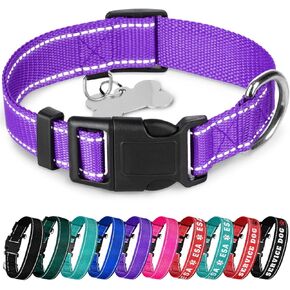 TECEUM Reflective Pet Collar – Violet – S – Basic Nylon Dog Collar – Quick Release Buckle – Fits Small, Medium and Large Dogs, Puppies, Cats – ESA & Service Dog Options
