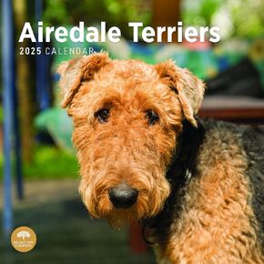 Bright Day Calendars 2025 Airedale Terriers Monthly Wall Calendar - Cute Dog Breed Gift (12 x 12 Inch)