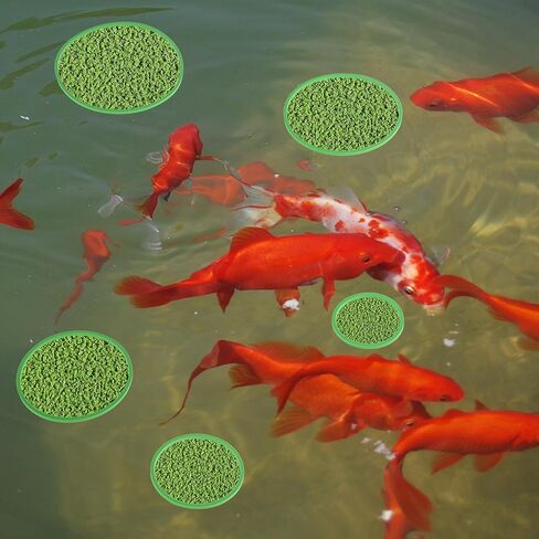 Fish Feeding Ring, Floating Plant Corral, Aquarium Floating Plant Ring, Floating Ring Aquarium Feeding Ring, Fish Tank Plant Corral Set for Aquarium Accessories, 5pcs, Green in Kuwait