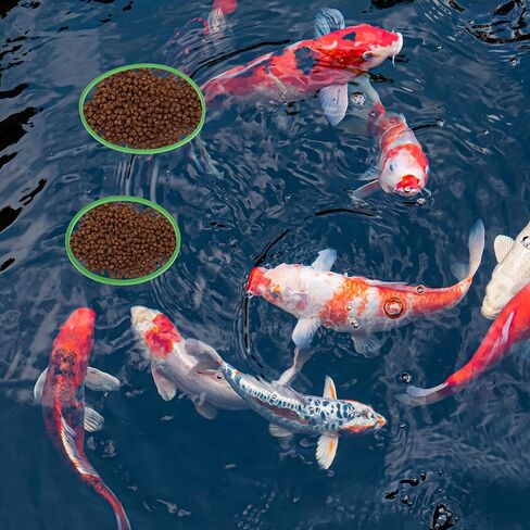 Fish Feeding Ring, Floating Plant Corral, Aquarium Floating Plant Ring, Floating Ring Aquarium Feeding Ring, Fish Tank Plant Corral Set for Aquarium Accessories, 5pcs, Green in Kuwait