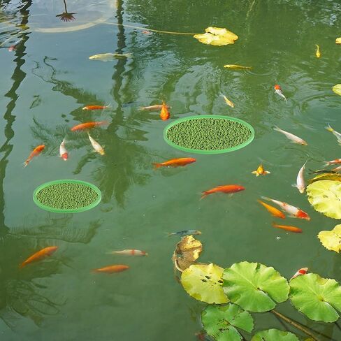Fish Feeding Ring, Floating Plant Corral, Aquarium Floating Plant Ring, Floating Ring Aquarium Feeding Ring, Fish Tank Plant Corral Set for Aquarium Accessories, 5pcs, Green in Kuwait