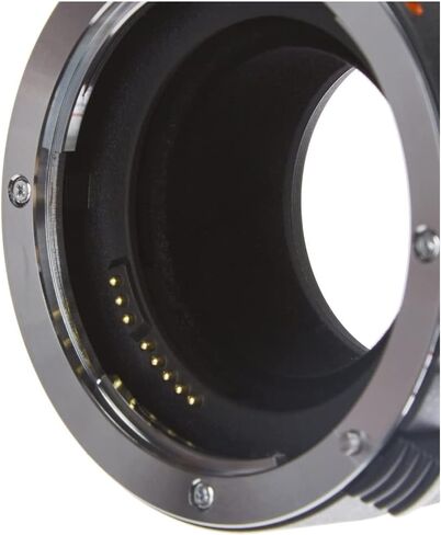 Canon EF 25 II Extension Tube in Saudi Arabia