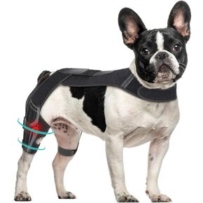 Dog Knee Brace with Vest, Support Dog Acl Brace Hind Leg Torn, Adjustable Dog Rear Leg Braces for Cruciate Ligament Injury, Joint Pain Relief and Arthritis